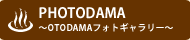 PHOTODAMA`OTODAMAtHgM[`