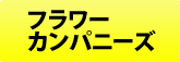 フラワーカンパニーズ